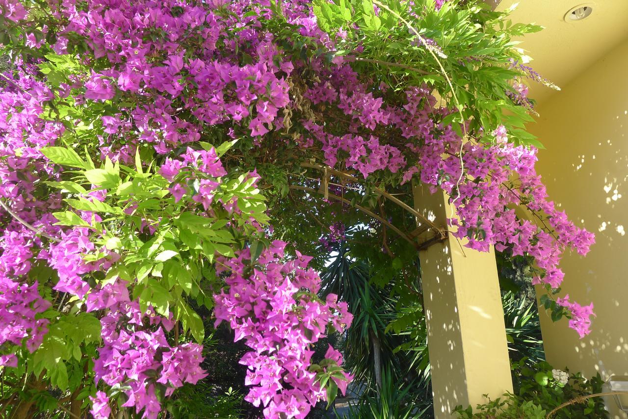St. Thomas Bed And Breakfast Paianía Εξωτερικό φωτογραφία